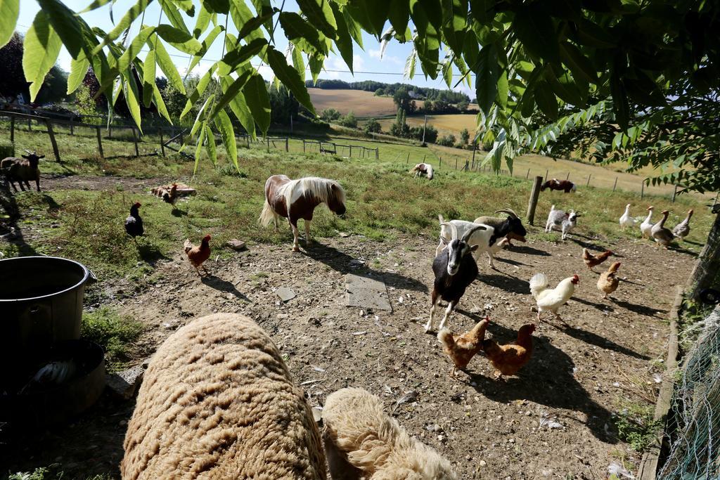 Vila La Ferme Couderc Castelnaud-de-Gratecambe Exteriér fotografie